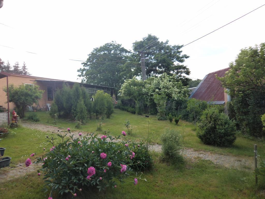 Guest House Hartenberg Sokolov Exteriér fotografie
